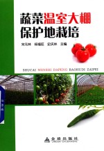蔬菜温室大棚保护地栽培