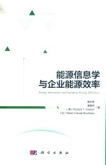 能源信息学与企业能源效率