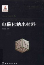 纳米材料前沿 电催化纳米材料