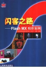 闪客之路 Flash MX精彩案例