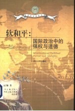 软和平 国际政治中的强权与道德
