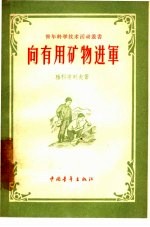 向有用矿物进军