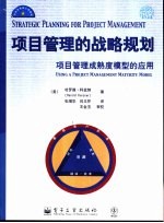 项目管理的战略规划 项目管理成熟模型的应用