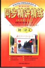 同步精讲精练 初三语文