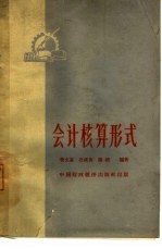 会计核算形式