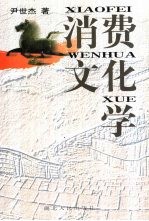 消费文化学