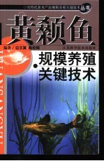 黄颡鱼规模养殖关键技术