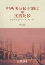 中西协商民主制度与实践比较