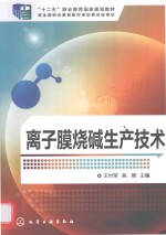 离子膜烧碱生产技术