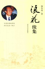 浪花 续集