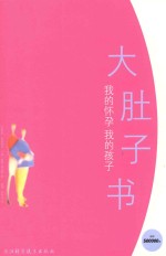 我的怀孕 我的孩子 大肚子书