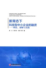 新常态下科技型中小企业的融资 理论、策略与实践