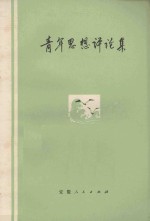 青年思想评论集