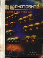 精通PHOTOSHOP 电脑图像处理高效操作指南