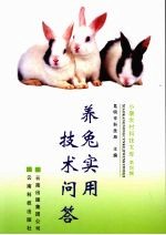 养兔实用技术问答
