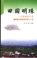 田园明珠 云南省昌宁县勐廷新农村建设经验十八条