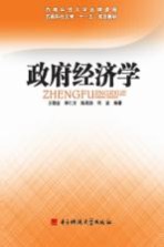 政府经济学