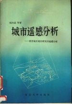 城市遥感分析 南京地区城市研究的遥感分析