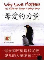 母爱的力量 母爱如何塑造和促进婴儿的大脑发育