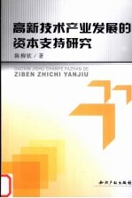 高新技术产业发展的资本支持研究