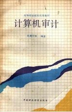 计算机审计