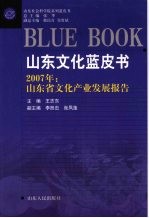 2007年:山东省文化产业发展报告