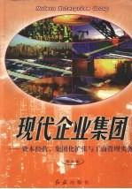 现代企业集团:资本经营、集团化扩张与工商管理实务 第3卷