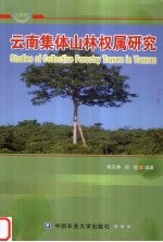 云南集体山林权属研究