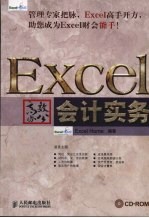 Excel高效办公 会计实务