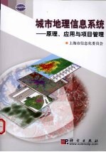 城市地理信息系统 原理、应用与项目管理