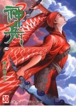神兵玄奇 第30册