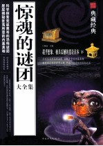 惊魂的谜团大全集 下