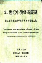 21世纪中俄经济展望 第三届中俄经济学学术研讨会论文集