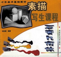 少年美术基础教材 素描写生课程 石膏几何体