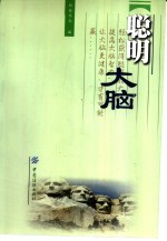 聪明大脑