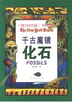 千古魔镜 化石