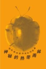 神秘的热带雨林 西双版纳密林深处的故事