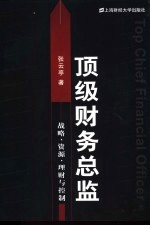 顶级财务总监 战略、资源、理财与控制