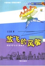 放飞的风筝 讲述中学生自己的故事