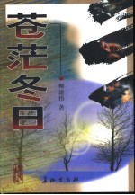 苍茫冬日 中篇小说精选