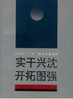 实干兴沈 开拓图强：沈阳市“八五”建设发展成就