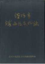 沈阳市铁西区文化志 1937-1988