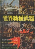 世界精锐武器