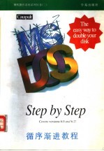 Microsoft MS-DOS 循序渐进教程 6.0和6.2版本