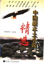 中国新本土小说精选