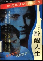 醉醒人生 新流派社会问题小说