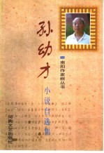 孙幼才小说自选集