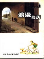 浪漫简历