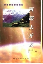 西部大开发