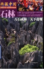典藏中国 100个您一生必游的中国名景 47 石林 万石成林 天下奇观